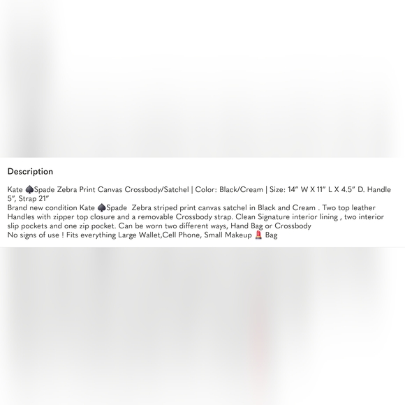 Kate Spade NewYork Zebra Printed Canvas Bag - Picture 5 of 13